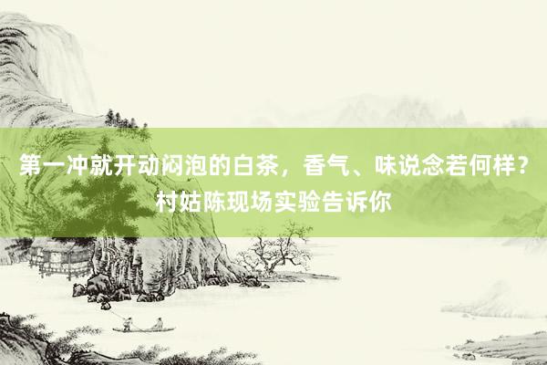 第一冲就开动闷泡的白茶，香气、味说念若何样？村姑陈现场实验告诉你