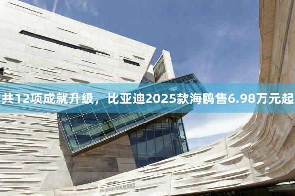 共12项成就升级，比亚迪2025款海鸥售6.98万元起