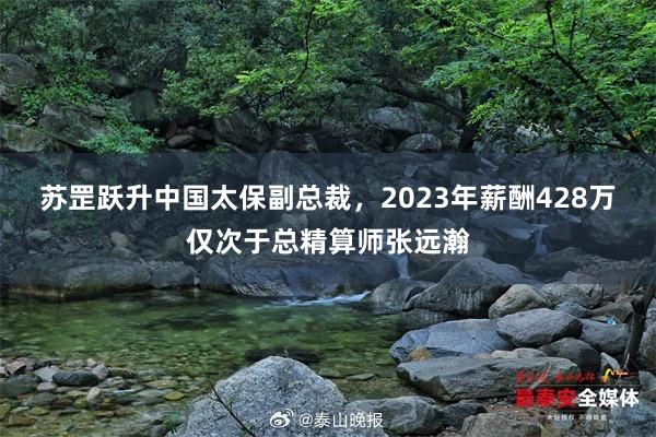 苏罡跃升中国太保副总裁，2023年薪酬428万仅次于总精算师张远瀚