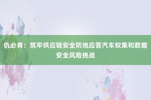 仇必青：筑牢供应链安全防地应答汽车蚁集和数据安全风险挑战