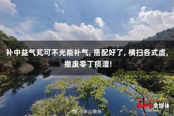 补中益气芄可不光能补气, 搭配好了, 横扫各式虚, 撤废零丁痰湿!