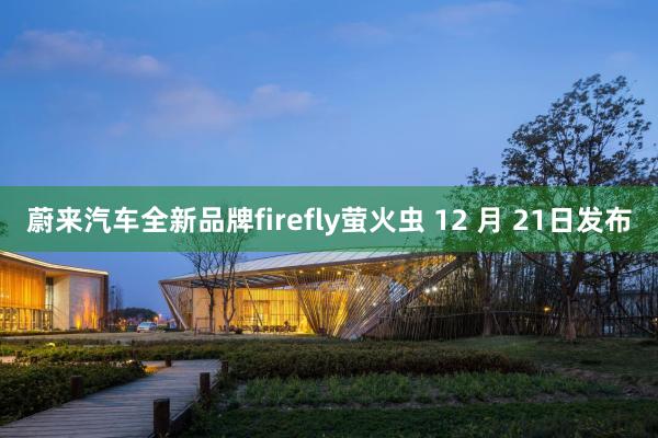 蔚来汽车全新品牌firefly萤火虫 12 月 21日发布