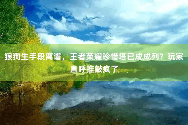 狼狗生手段离谱，王者荣耀珍惜塔已成成列？玩家直呼推敲疯了