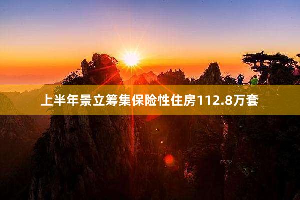 上半年景立筹集保险性住房112.8万套